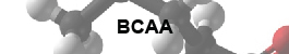BCAA