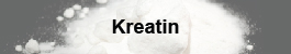 Kreatin