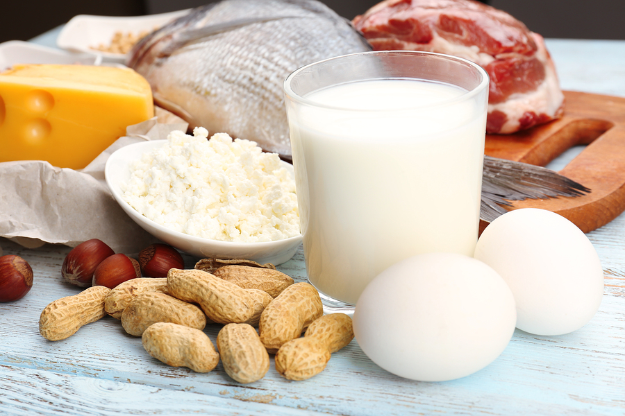 bra proteinpulver för att bygga muskler