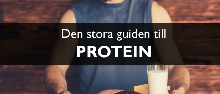 Protein för styrketräning