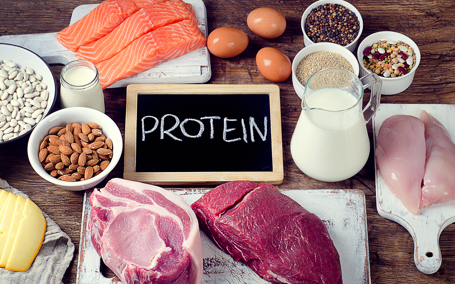hur många gram protein efter träning hur många gram protein efter träning