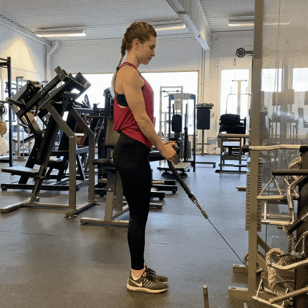 Kabelcurl med rep Styrkelabbet