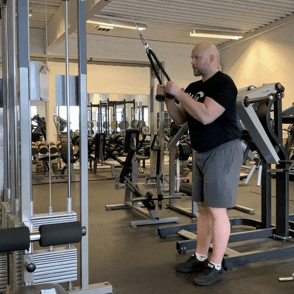 Triceps pushdown med rep Styrkelabbet